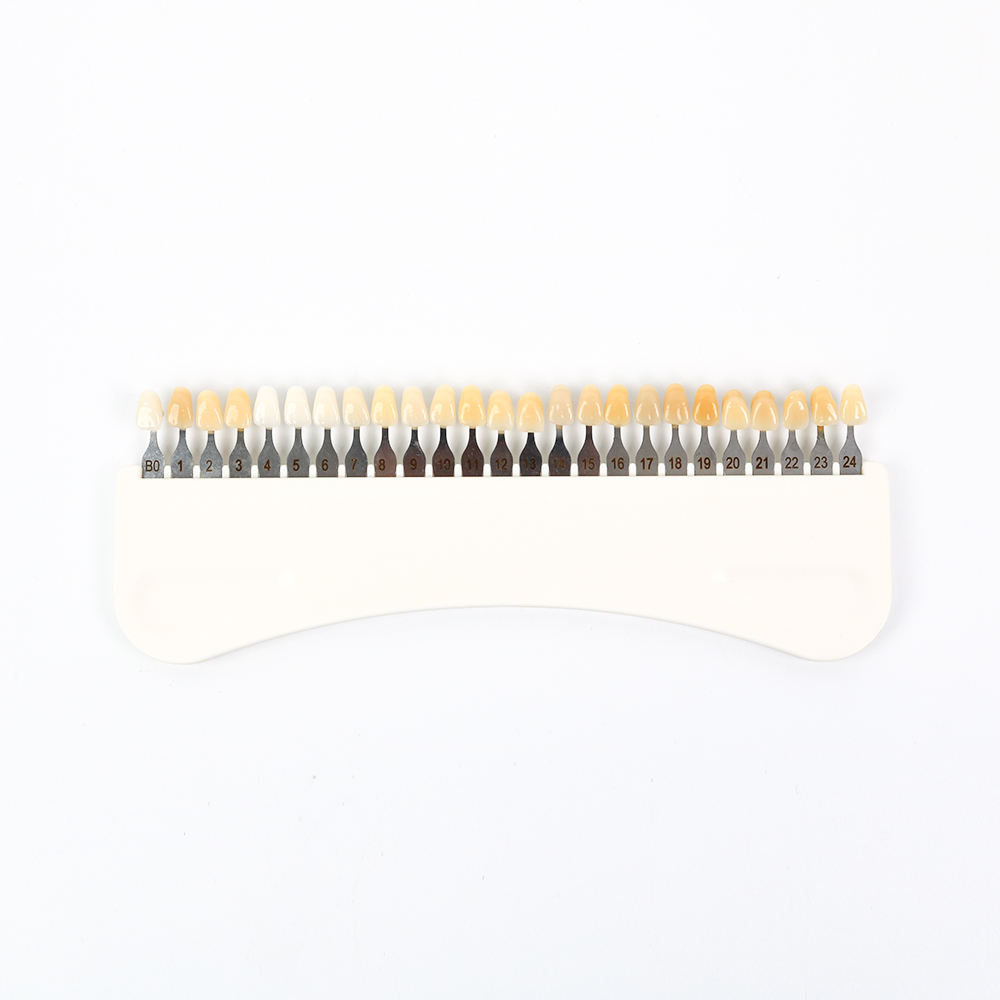 3D Teeth Whitening Shade Guide - Teeth Whitening Shade Guide review and price