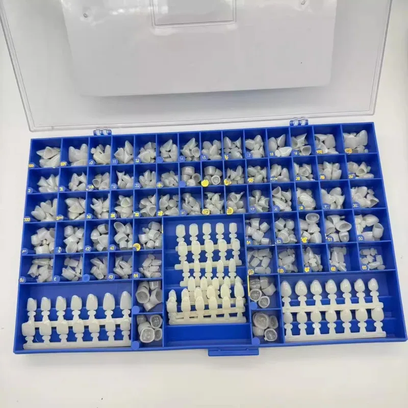 Dental Premolar Molars Anterio - Teeth Whitening Moulds review and price