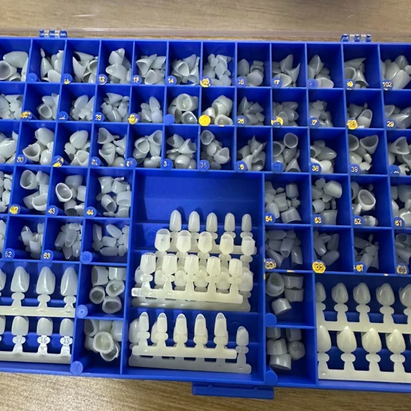 Dental Premolar Molars Anterio - Teeth Whitening Moulds review and price