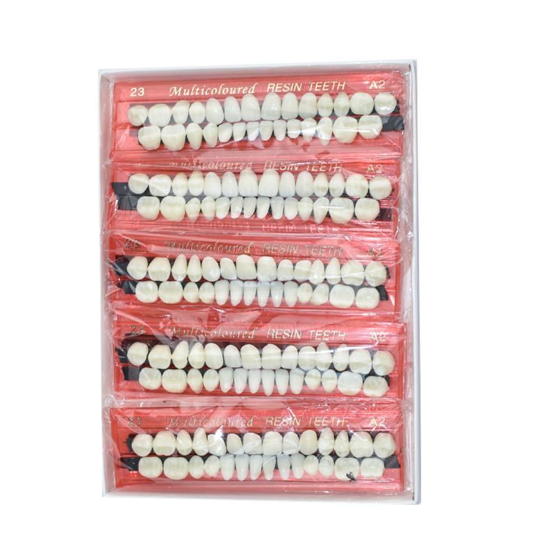 28 Teeth Dental Resin Denture  - Teeth Whitening Shade Guide review and price