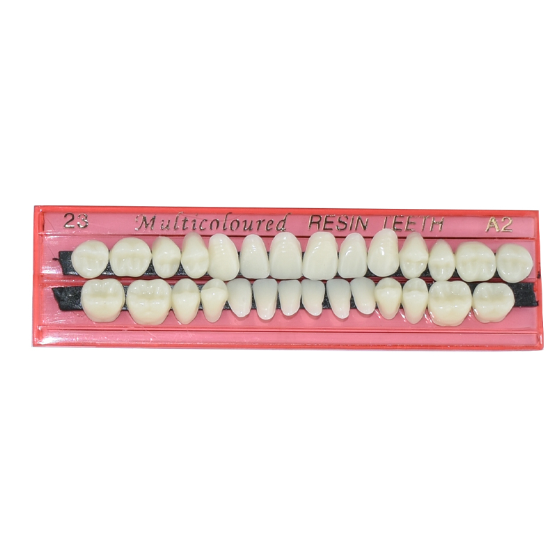 28 Teeth Dental Resin Denture  - Teeth Whitening Shade Guide review and price