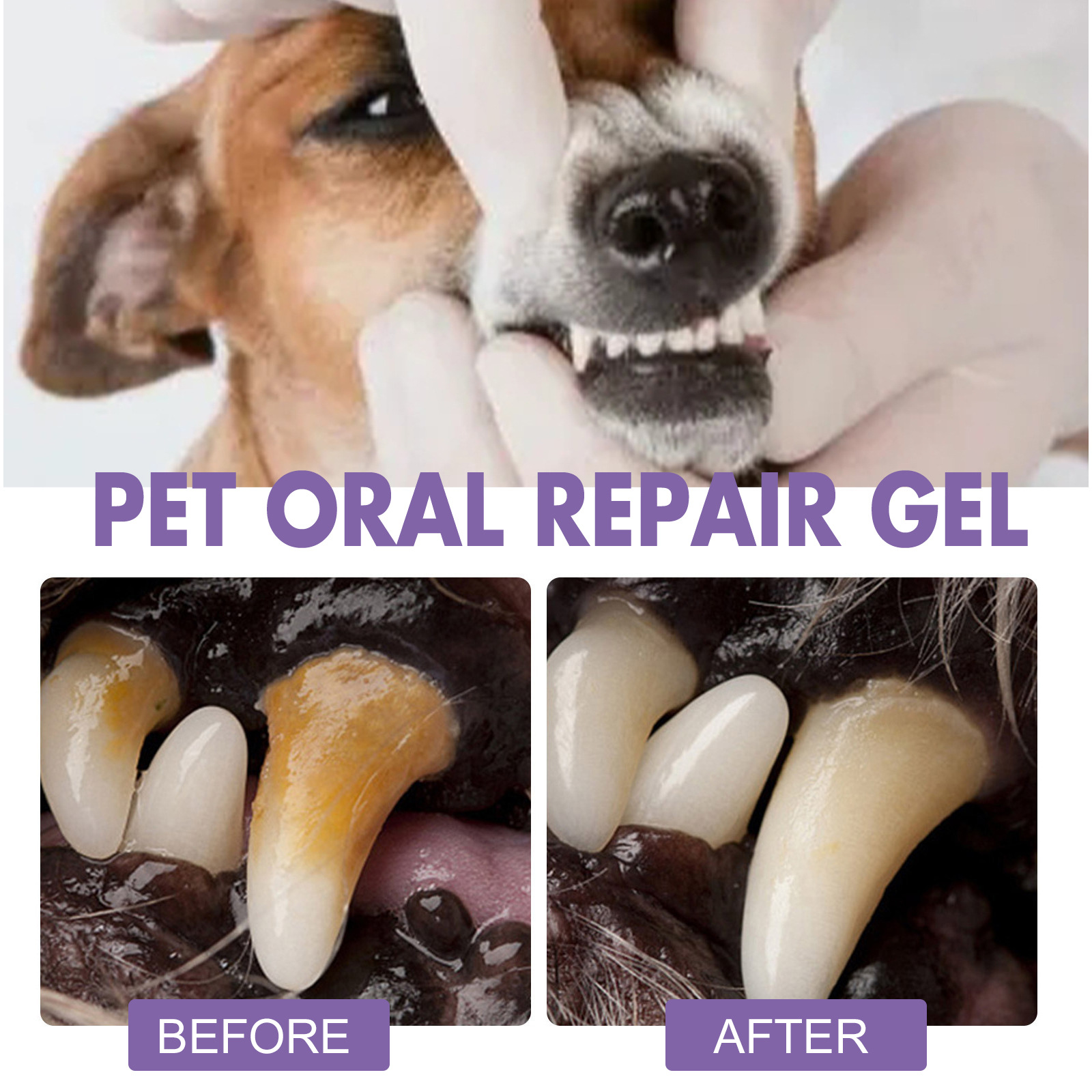Pet Oral Repair Gel Puppy Tart - Teeth Whitening Gel Peroxide review and price