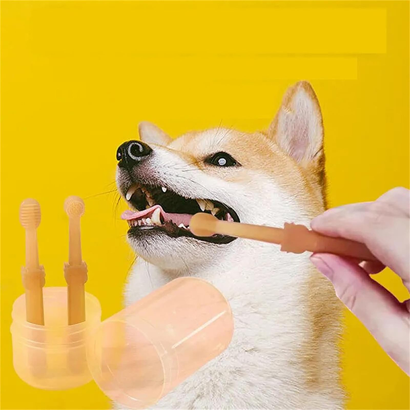 Teeth Whitening Dog Cat Silico - Teeth Whitening Toothpaste review and price